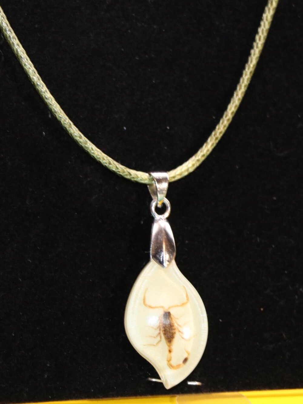 17" Golden Scorpion Teardrop Pendant Necklace- Unisex